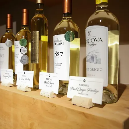 Wine Hotel